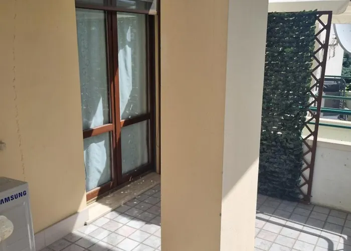 Papaya58 San Benedetto del Tronto