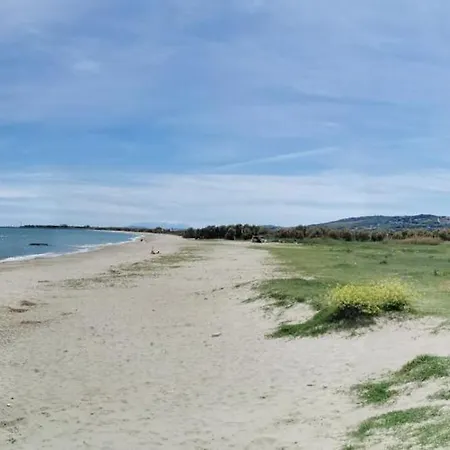 Papaya58 サン・ベネデット・デル・トロント