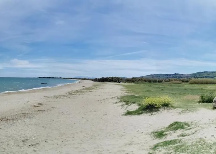 Papaya58 San Benedetto del Tronto