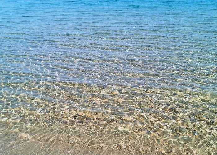 Papaya58 アパート *